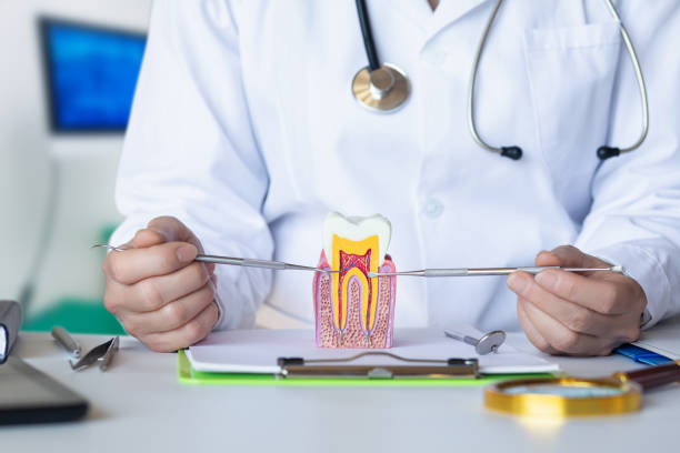 Best Emergency Dental Care for Broken or Chipped Teeth in Oronoque, CT